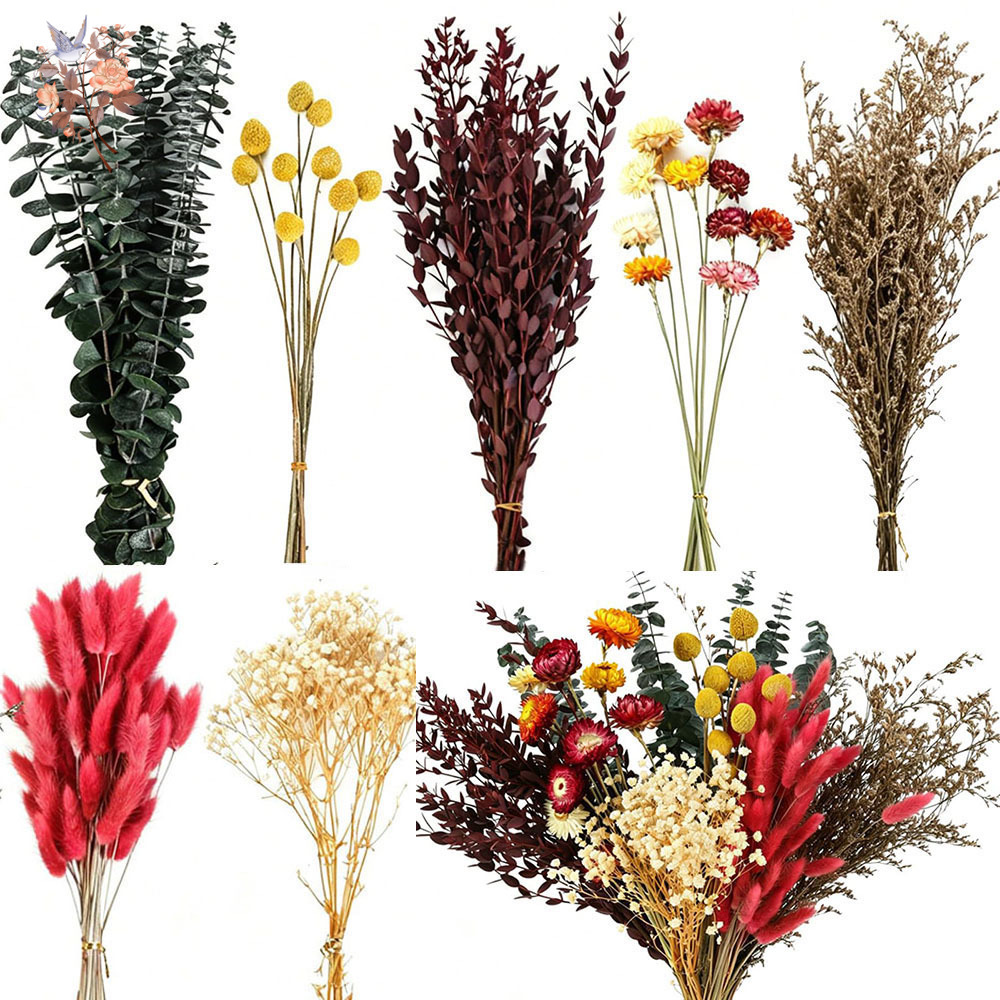 Dried Flower Bulk - Conjunto de Flores Secas a Granel,