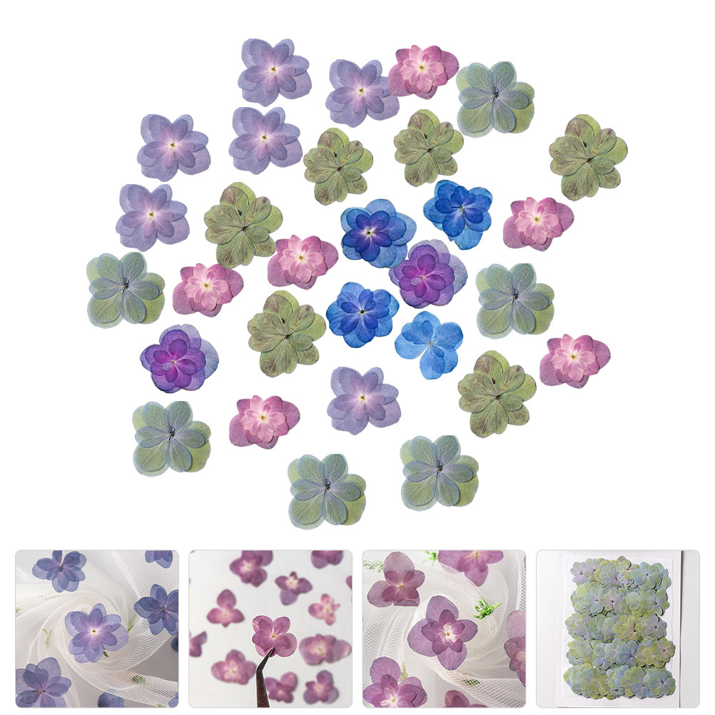 Dried Flower Bulk - 30 Peças de Flores Secas Prensadas