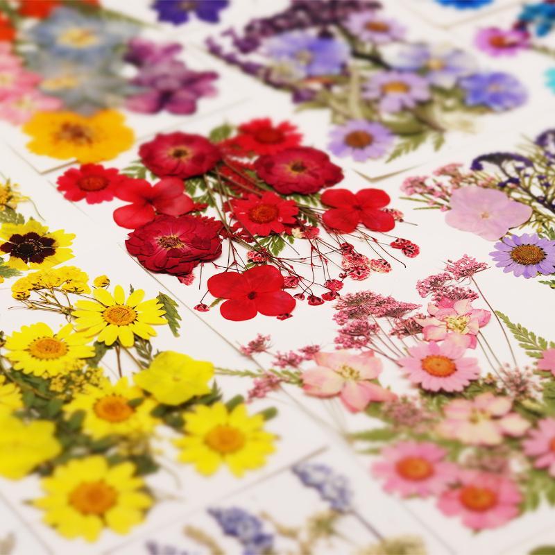 Resin Craft Ideas - Flores Naturais Prensadas e Secas para