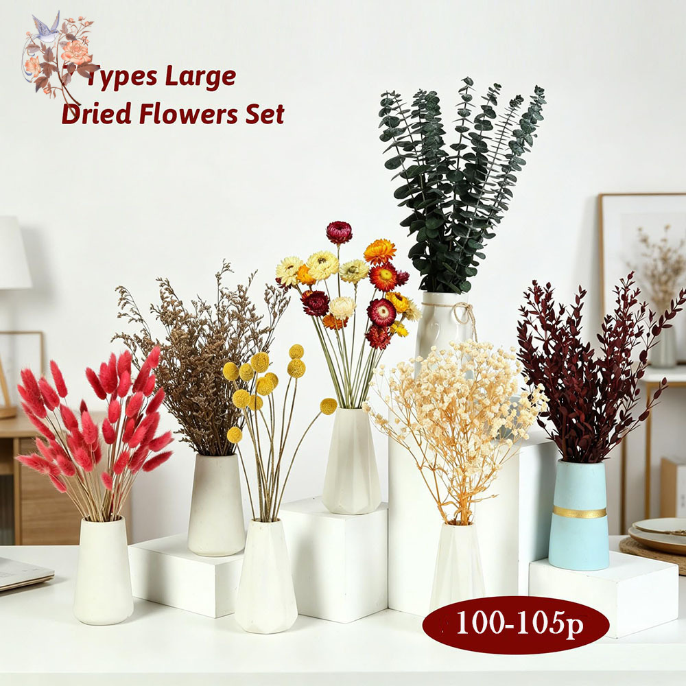 Conjunto de Flores Secas a Gra - Dried Flower Bulk avaliação e preço