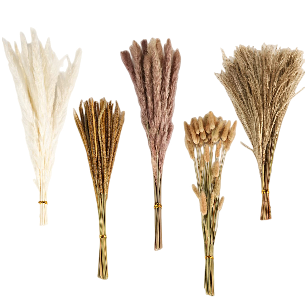 Buquê de Flores Secas Mistas V - Dried Flower Bulk avaliação e preço