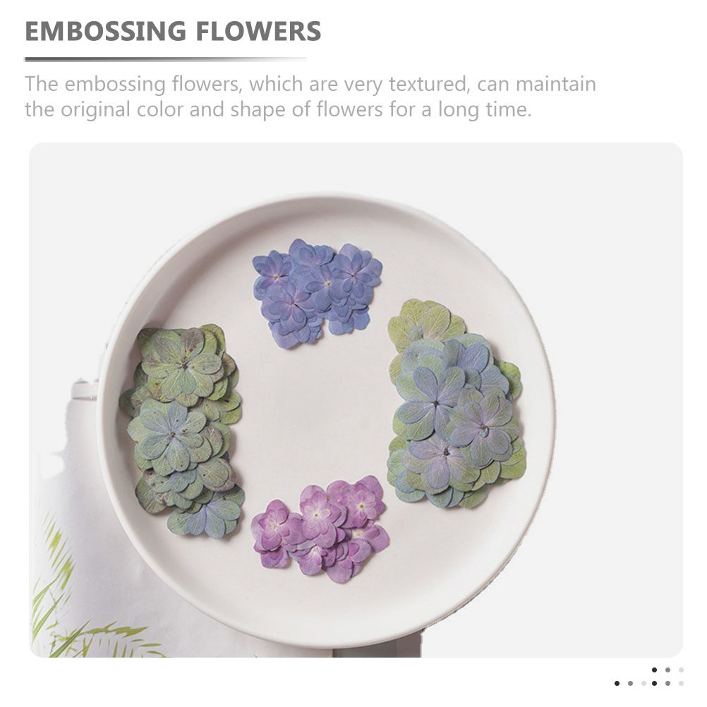 30 Peças de Flores Secas Prens - Dried Flower Bulk avaliação e preço