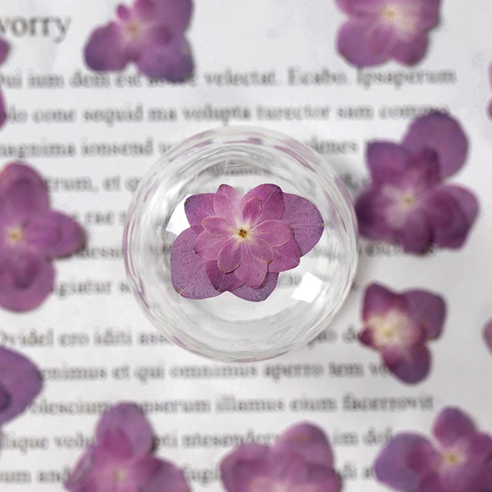30 Peças de Flores Secas Prens - Dried Flower Bulk avaliação e preço