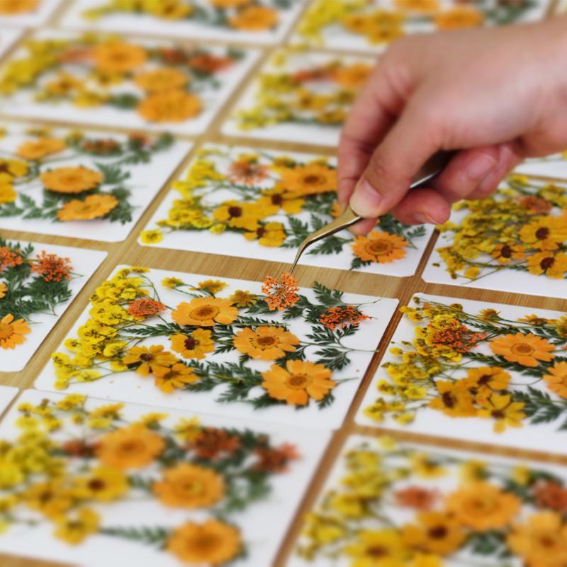 Flores Naturais Prensadas e Se - Resin Craft Ideas avaliação e preço